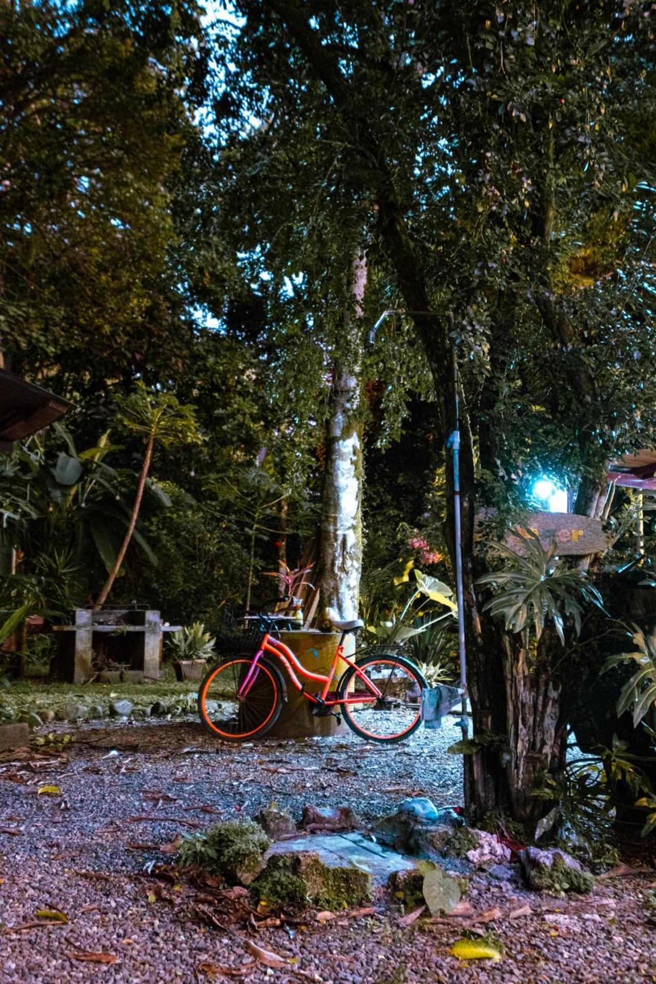 Casa Aldirica Hotell Cahuita Exteriör bild