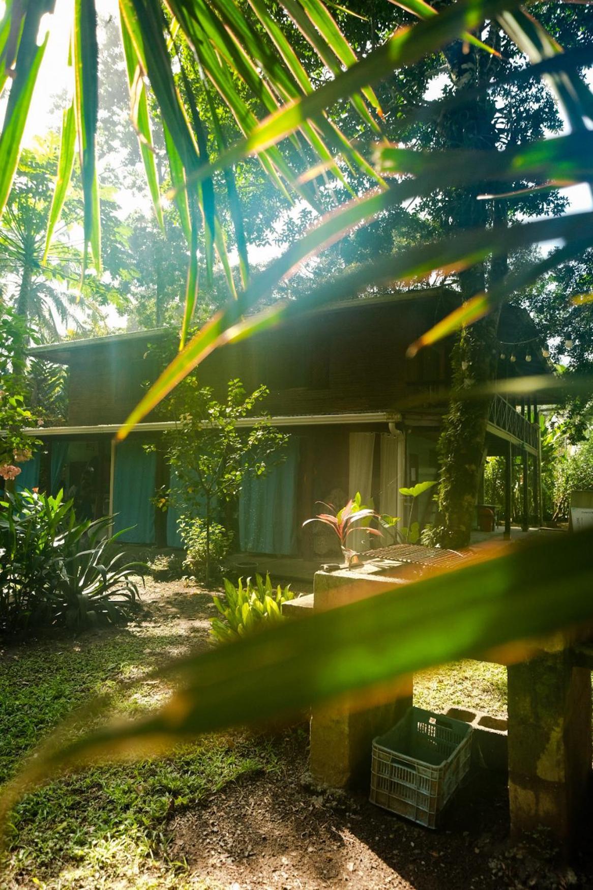Casa Aldirica Hotell Cahuita Exteriör bild